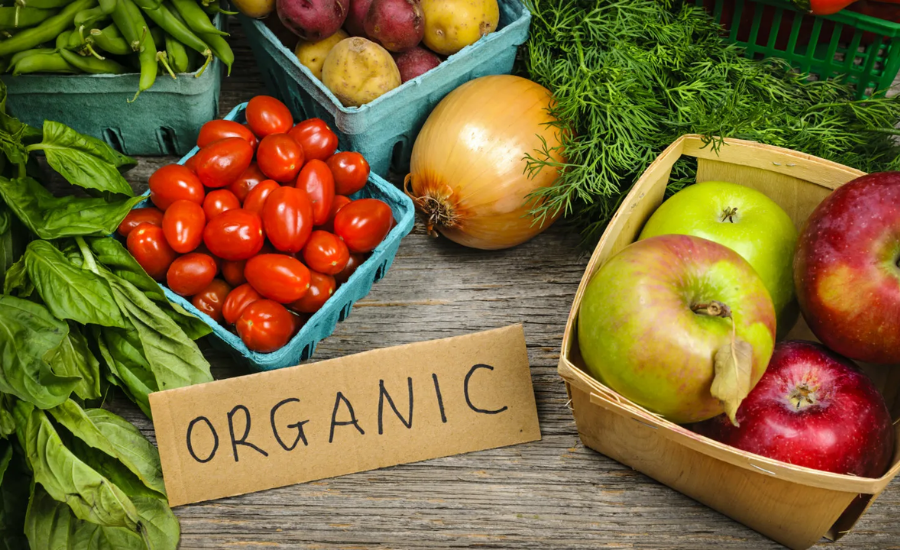 A Comprehensive Guide to Understanding Organic