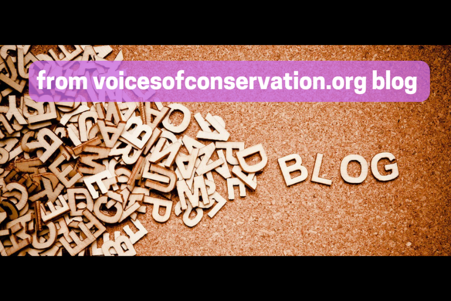 the #voicesofconservation.org blog