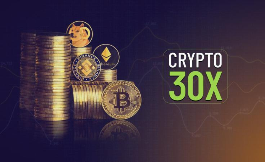 Crypto30x Overview: Legitimate Investment or Scam?