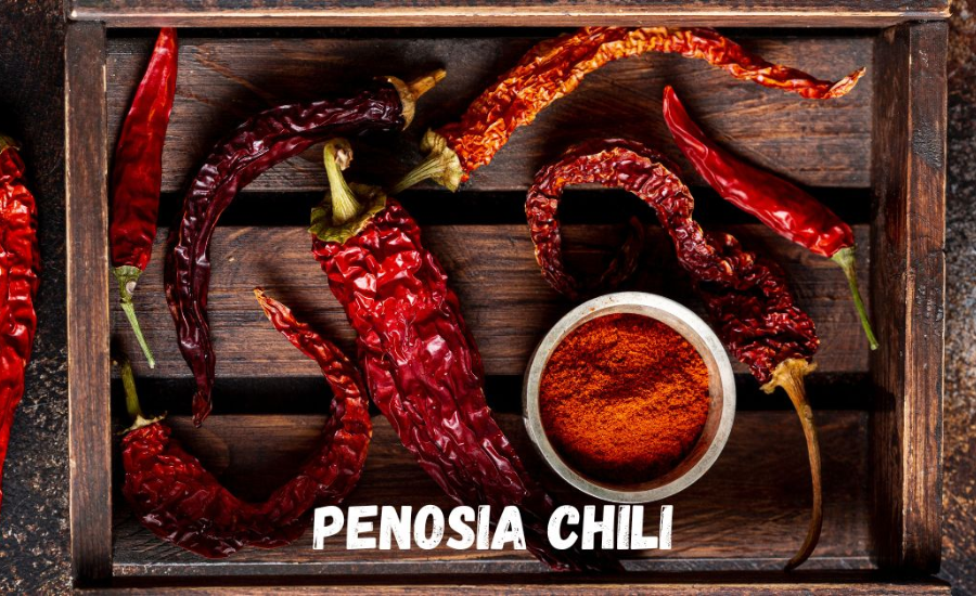 Cooking Tips For Penosia Chili