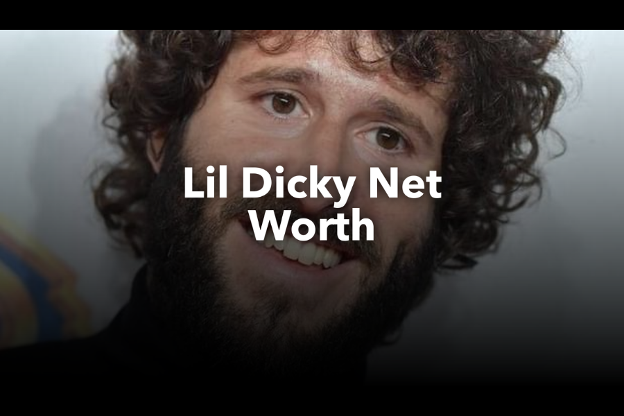 lil dicky net worth