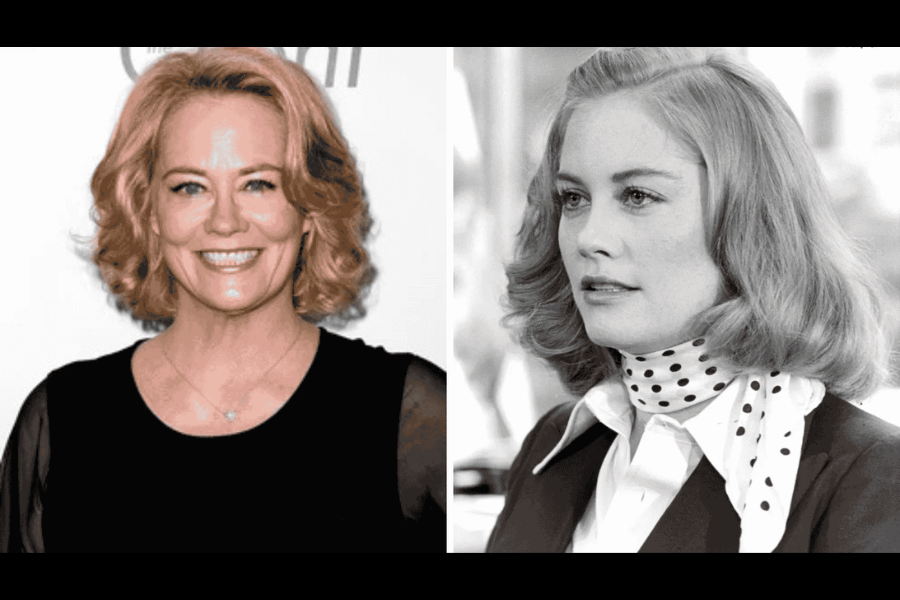 cybill shepherd net worth